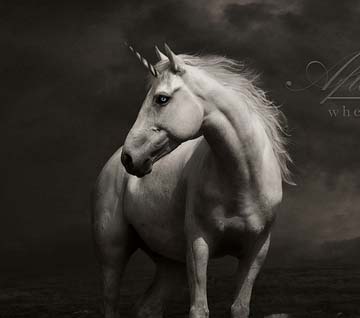 免费呼叫轰炸神器ios