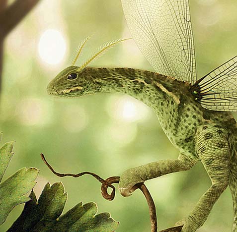 自动拨号软件连续呼叫