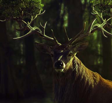 信誉保证的轰炸电话号码